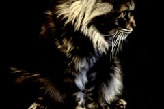 IMG_1400-scaled