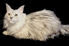 IMG_1395-scaled